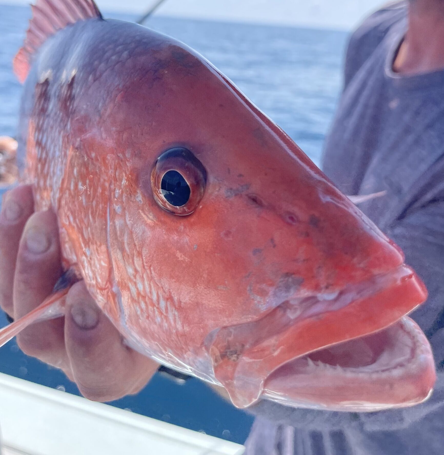 Eastern Tailz Outfitters