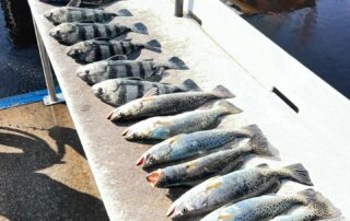 Deep Sea Fishing North Myrtle Beach SC - Eastern Tailz Outfitters