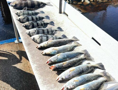 How to Choose the Right Fishing Charter in North Myrtle Beach (Beginner’s Guide)